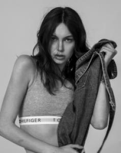 Modelo