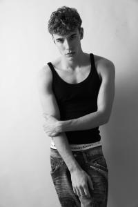Modelo